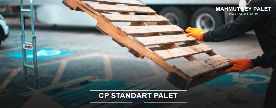 Mahmutbey CP Palet Çözümleri