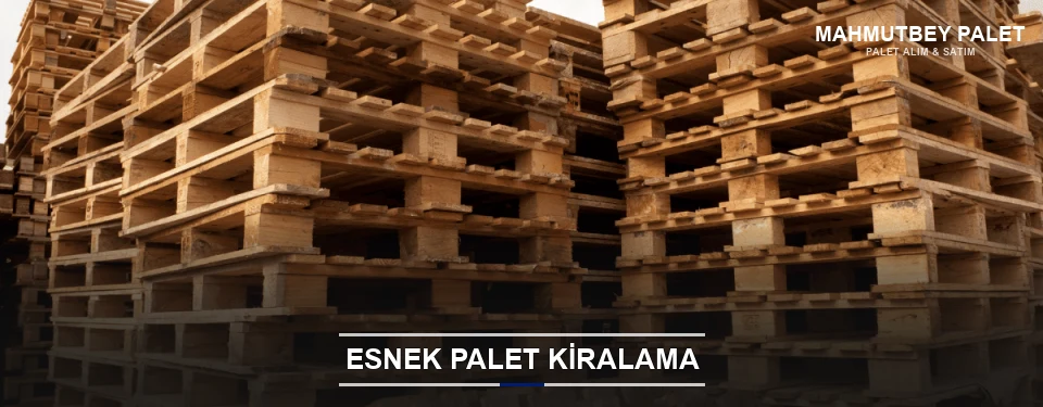 Mahmutbey Uygun Fiyatlı Palet Kiralama Mahmutbey Uygun Fiyatlı Palet Kiralama